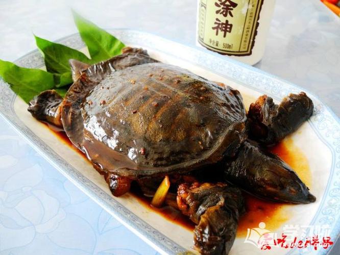 川味甲鱼做法