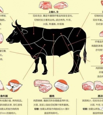 牛肉的部位图解与做法