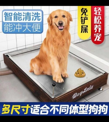如何训练大型犬用马桶
