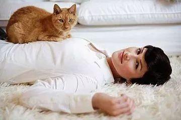 猫孕妇需要注意什么东西