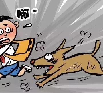 狗咬坏东西怎么解决