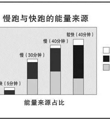 无氧运动消耗脂肪