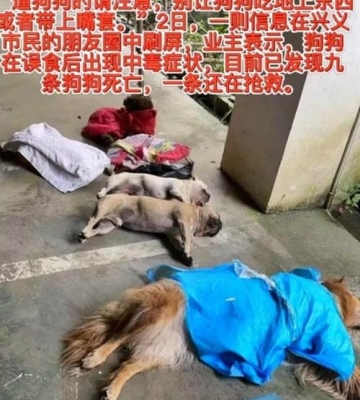 什么东西可以致宠物死亡