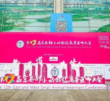 2019年东西部小动物