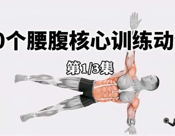 腰部腹部减肥运动视频