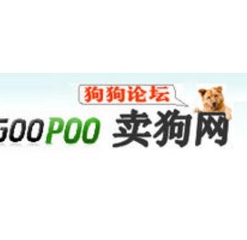 卖狗网站都有什么东西
