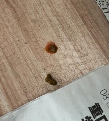 幼犬呕吐拉稀不吃东西怎么办