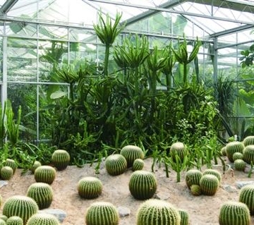 中国栽培植物