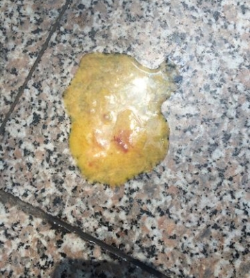 狗狗一直拉稀不吃东西