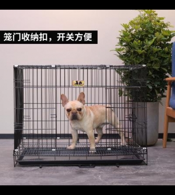 狗老拉笼子里怎么训练