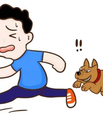 怎么训练狗咬东西
