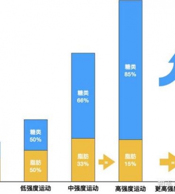 无氧运动减脂肪
