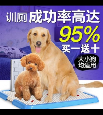 训练狗狗坐便器