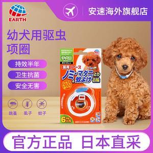 狗狗防蚊的东西有哪些