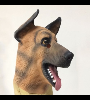 训练牧羊犬的道具