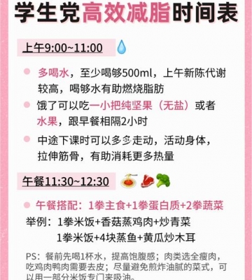 饮食和运动时间分配