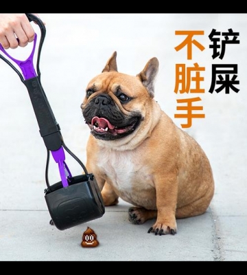 怎么训练狗狗小大便