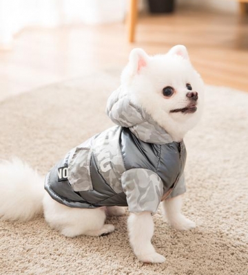 幼犬保暖都有哪些东西