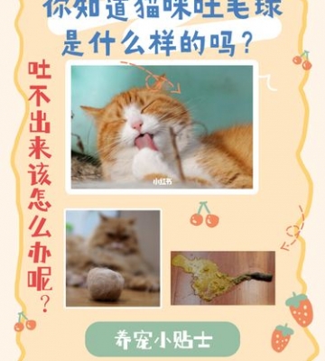 可以帮助猫咪吐毛球的东西