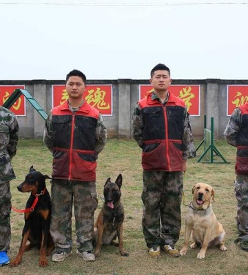 德阳哪里有狗狗训练基地