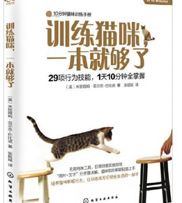 怎么训练猫咪本领