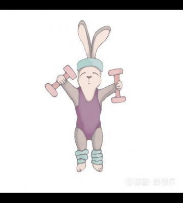 兔子 训练 运动
