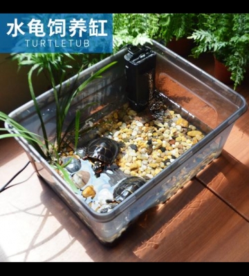 养龟所要的东西