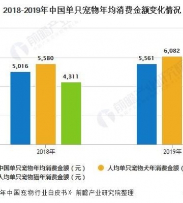 训练宠物市场分析