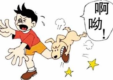 不在家狗咬东西怎么教