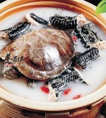 清炖蛇汤的做法