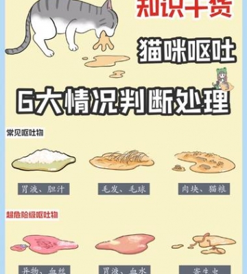 猫咪呕吐不吃东西不拉