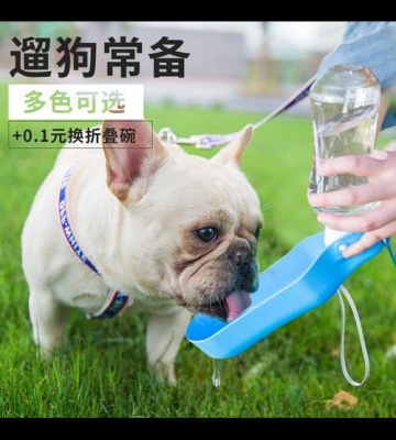 怎么训练狗狗用饮水器