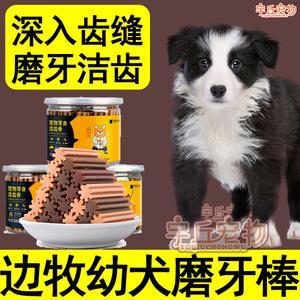 训练边牧零食