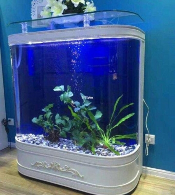 选鱼缸需要注意什么东西