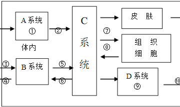 新陈代谢与运动的关系
