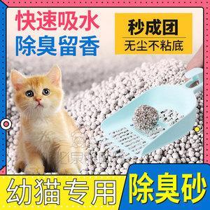 训练奶猫用猫砂