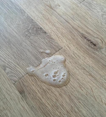 猫咪吃东西不消化呕吐