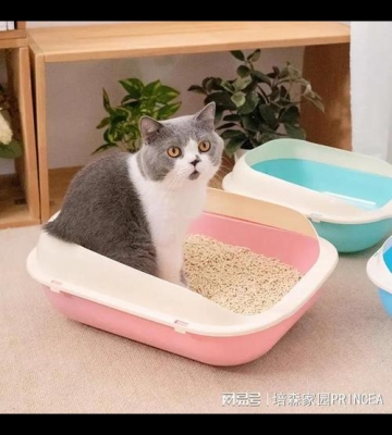 猫砂训练宠物店