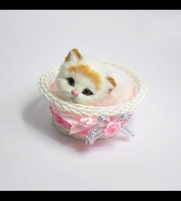怎么样用东西做猫玩具