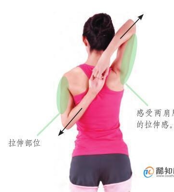 肩部运动
