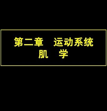 运动系统的肌肉系统