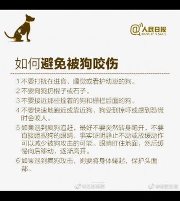 如何防止狗咬东西