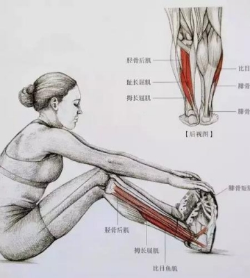 什么运动能快速瘦小腿