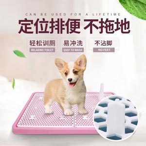 训练狗狗拉到便盆