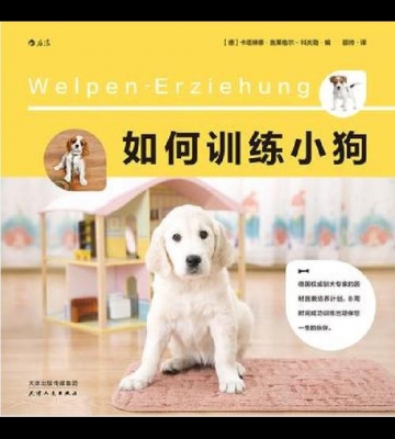 小狗的训练视频