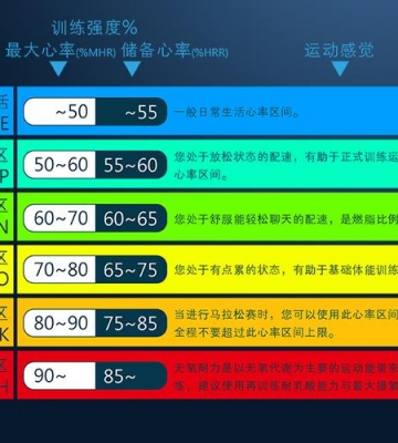 减肥运动心率