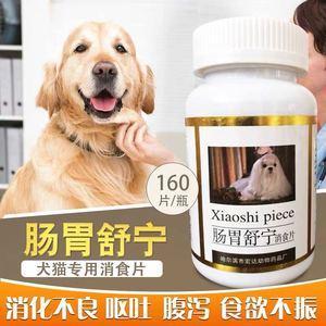 狗狗不吃东西拉肚子怎么办吃什么药