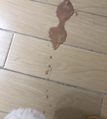 小猫干呕吐不出东西了怎么办