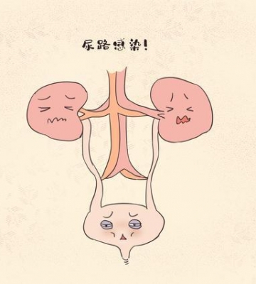小孩子尿路感染怎么办