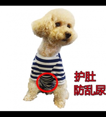 母狗怎么训练小便
